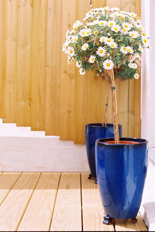 Hotel Trevose Harbour House St Ives Exterior foto